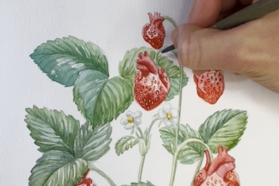 Autorské ilustrace - Sweet Heart